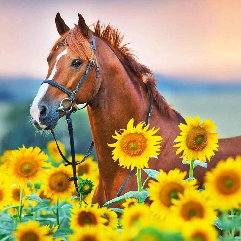 Diamond Painting - Full Round Drill - Horse in Sunflower(40*40cm)