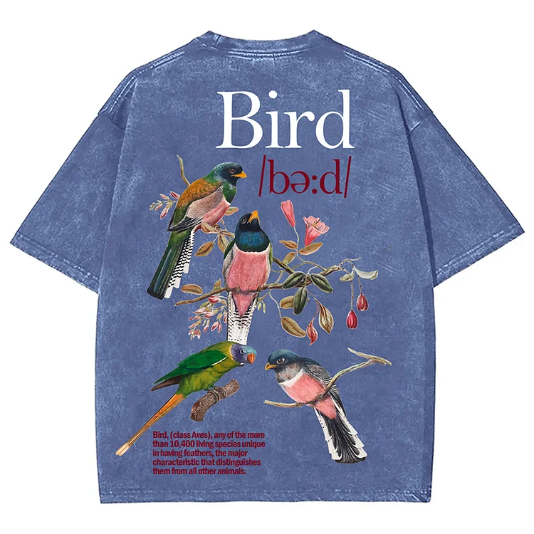 Men's Vintage Short Sleeve Bird Print Acid Washed T-Shirt