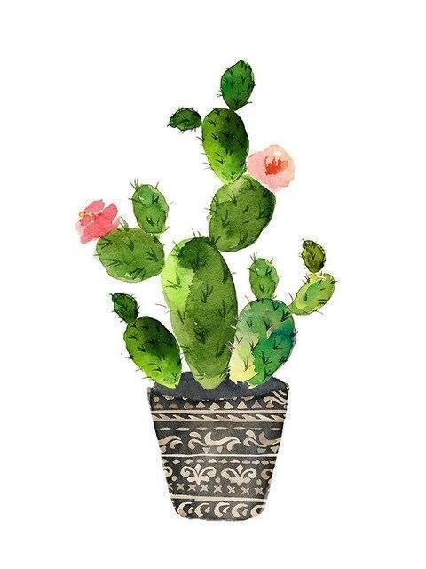 Flower Cactus Paint By Numbers Kits UK For Beginners  HQD1214