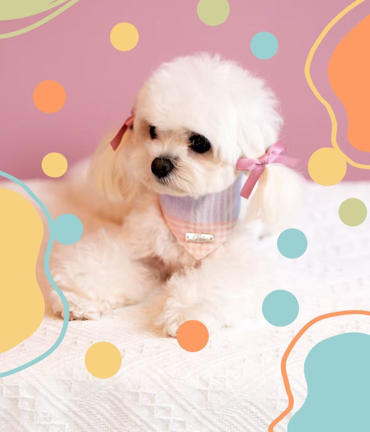 Lovely Triangular Saliva Towels For Dogs And Cats