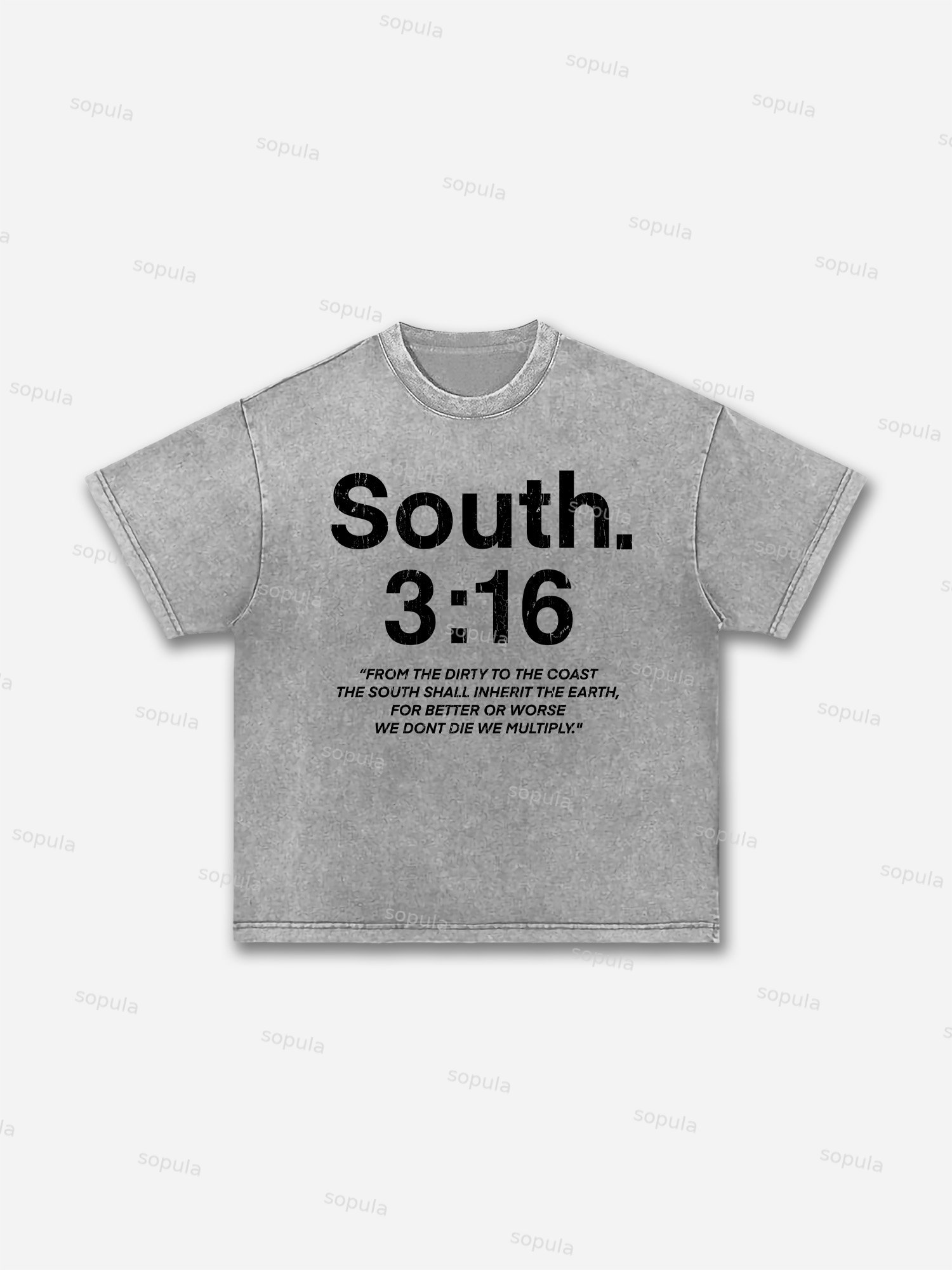 South 3：16 Placard Graphic Acid Wash T-shirt - SOPULA