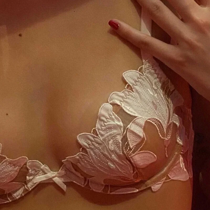 Fancy Underwear Lace Women's Bra and Panty Set Floral Embroidery Brief Sets Sexy Thin Bralette Female Erotica Intimates Lingerie