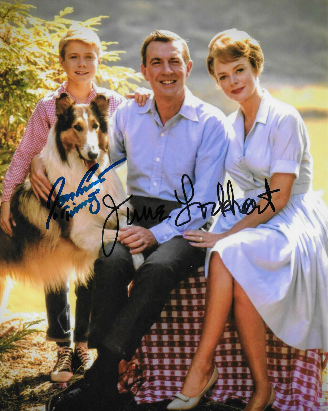 June Lockhart & Jon Provost Lassie Original Autographed 8X10 Photo Poster painting #8