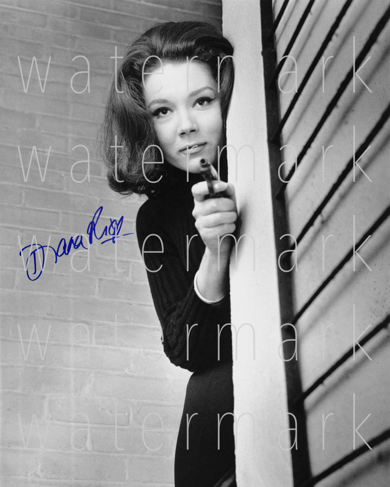 Diana Rigg The Avengers signed 8X10 inch print Photo Poster painting picture poster autograph RP