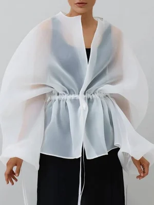 Image of Long Sleeves Loose Drawstring See-Through Transparent Blouses&shirts Tops