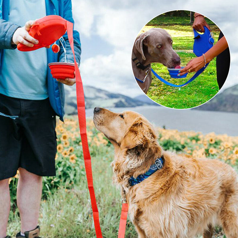 4 in 1 Dog Retractable Leash - tree - Codlins