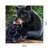 uk.everydayedeals (Limited Stock)Paint By Number - Oil Painting -  Bear (40*40Cm)