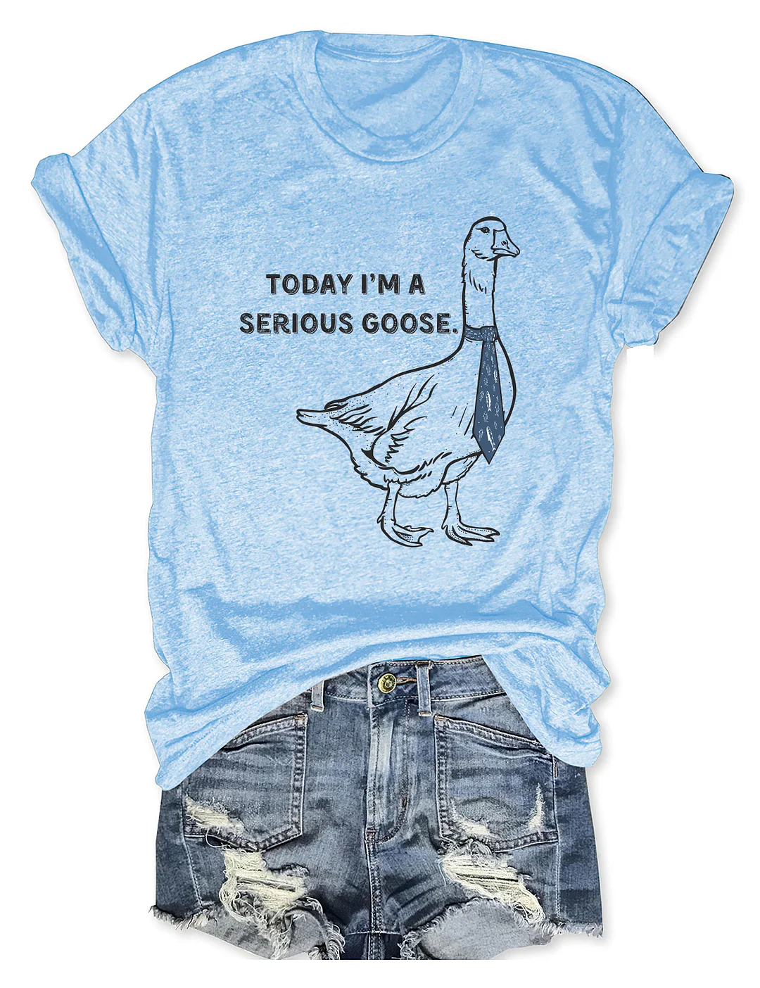 Today I'm A Serious Goose T-Shirt