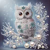 Diamond Painting-DIY Crystal Rhinestone Owl