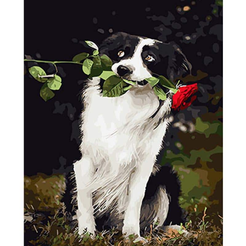 

Dog Holds a Red Rose – Paint By Numbers - 40*50CM, 501 Original