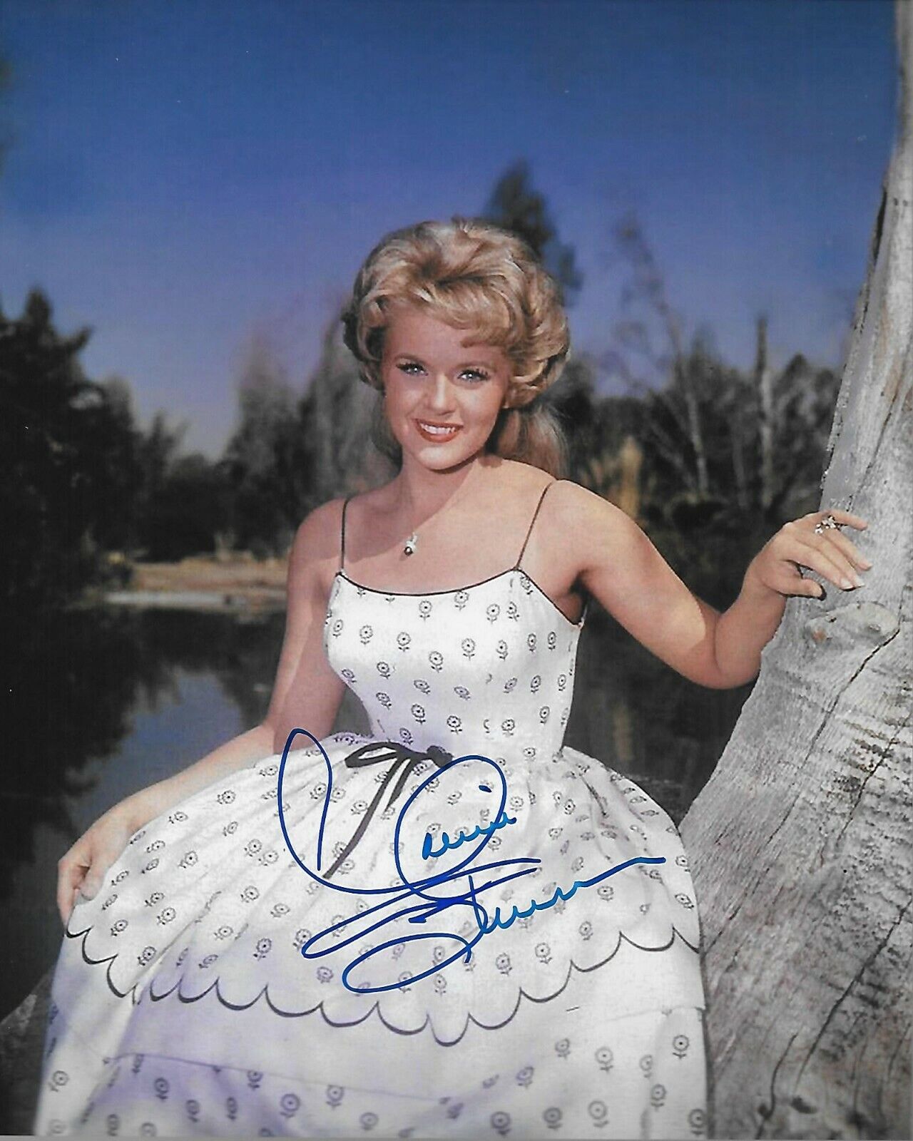 Connie Stevens Original Autographed 8X10 Photo Poster painting #67 signed at Hollywood Show