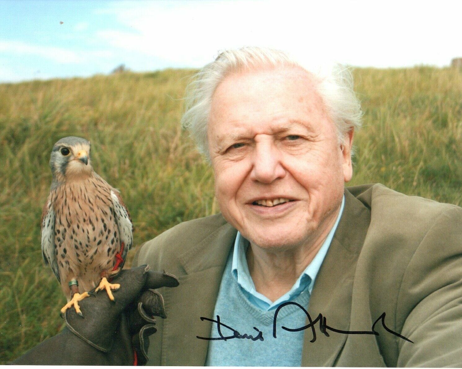 David Attenborough TV Presenter  Signed 10 by 8 inches Genuine Signature Photo Poster painting