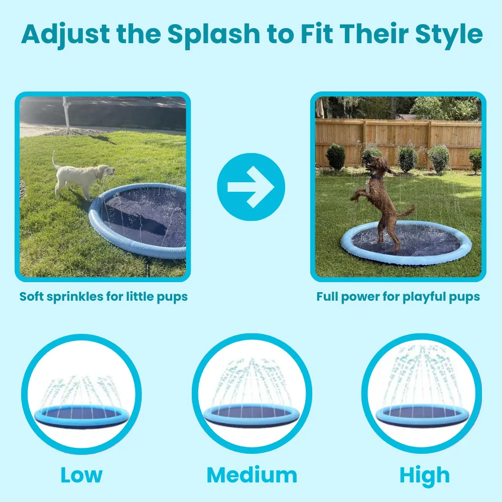 Pup Paradise&trade; Splash Pad
