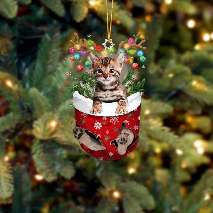 Cat 10 In Snow Pocket Christmas Ornament.