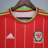 Retro 2015-16 Wales Soccer Jersey Home