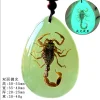 Insect Amber Pendant Natural Butterfly Specimen Insect Amber Necklace Children's Hanging Accessories