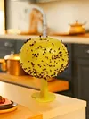 Fruit Fly Trap Killer Fruit Fly Catcher Drosophila Trap for Outdoor Garden Patio
