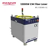 Axrayser Original Raycus Laser Source 1000/1500/3000/6000W CW Laser RFL-C1000S for Fiber Cutting Machine