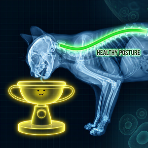 From Strain to SFrom Strain to Serenityerenity
