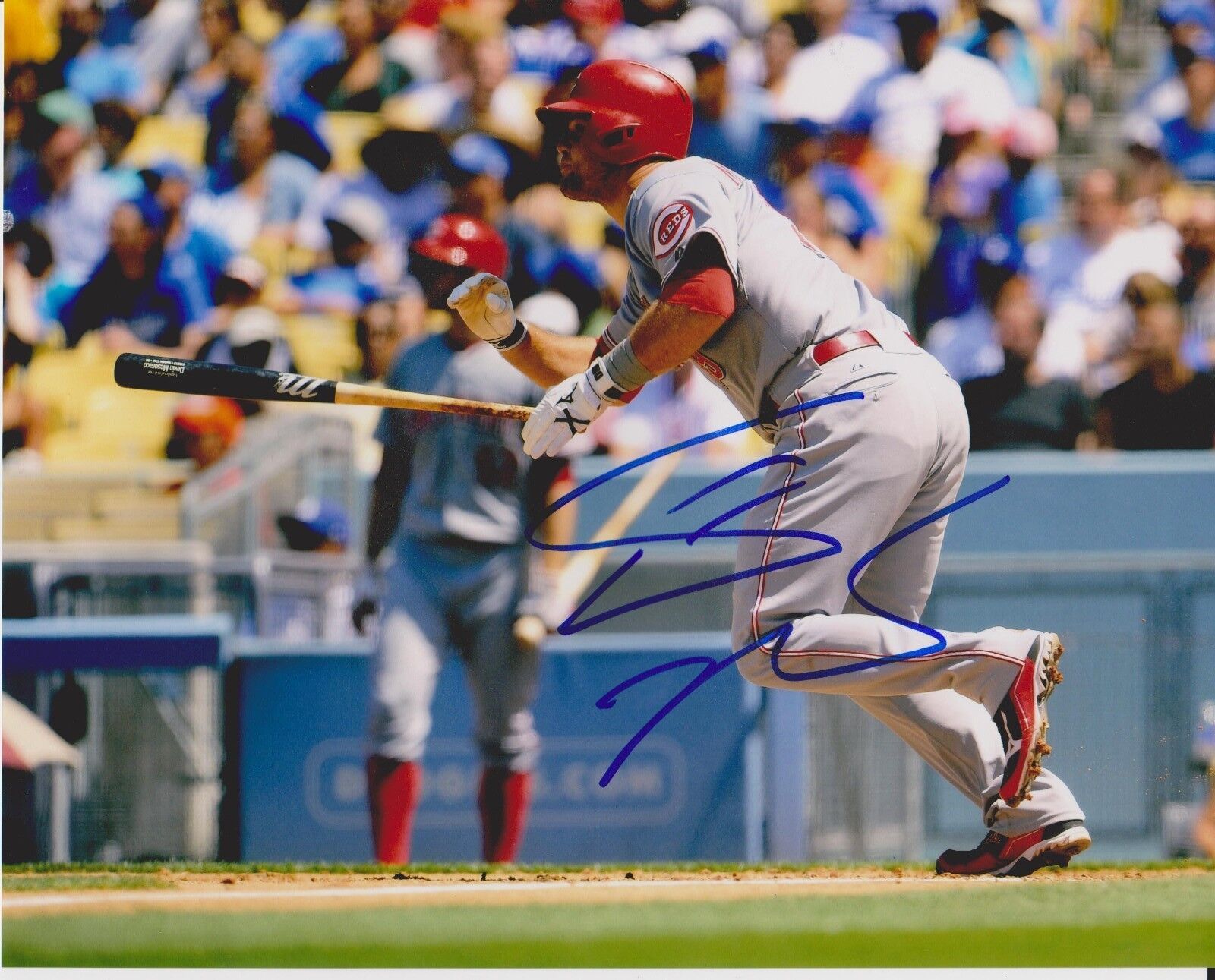 DEVIN MESORACO signed autographed CINCINNATI REDS 8x10 Photo Poster painting w/COA