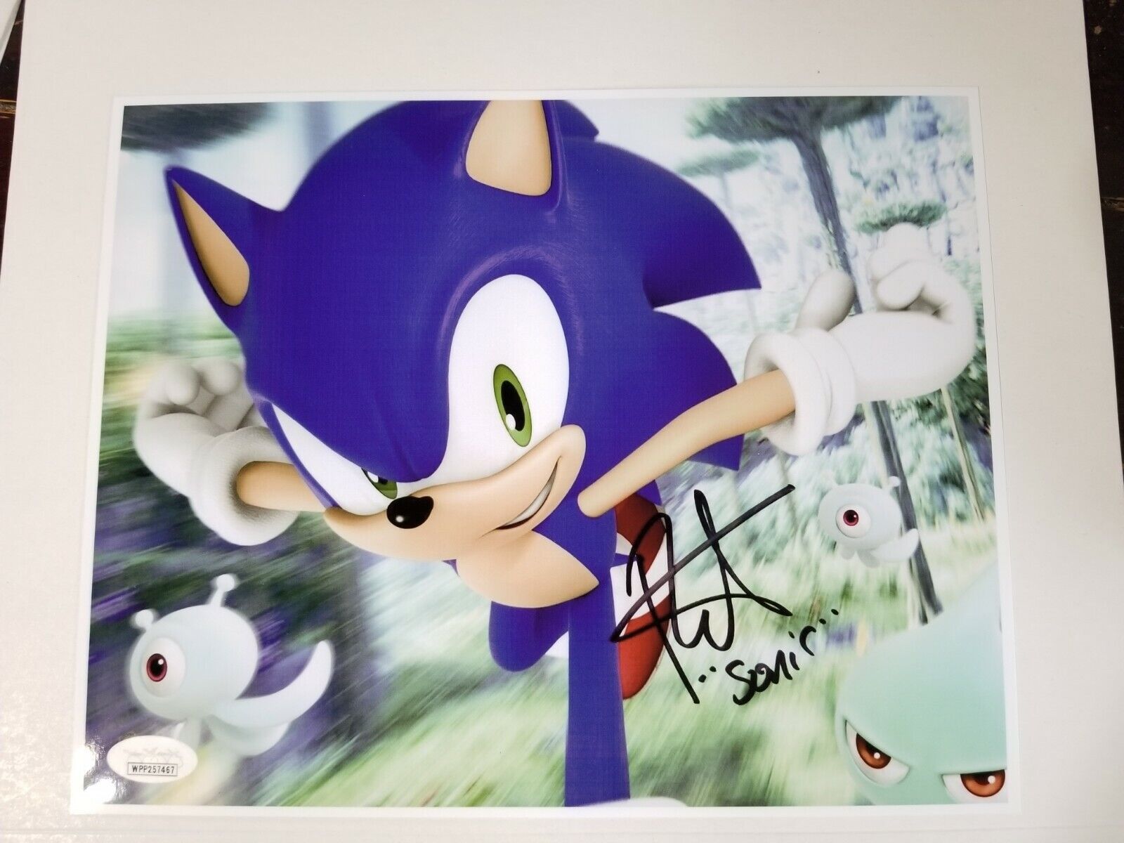 Sonic Signed 8x10 Photo Poster painting RP -  Shipping!! Hedgehog