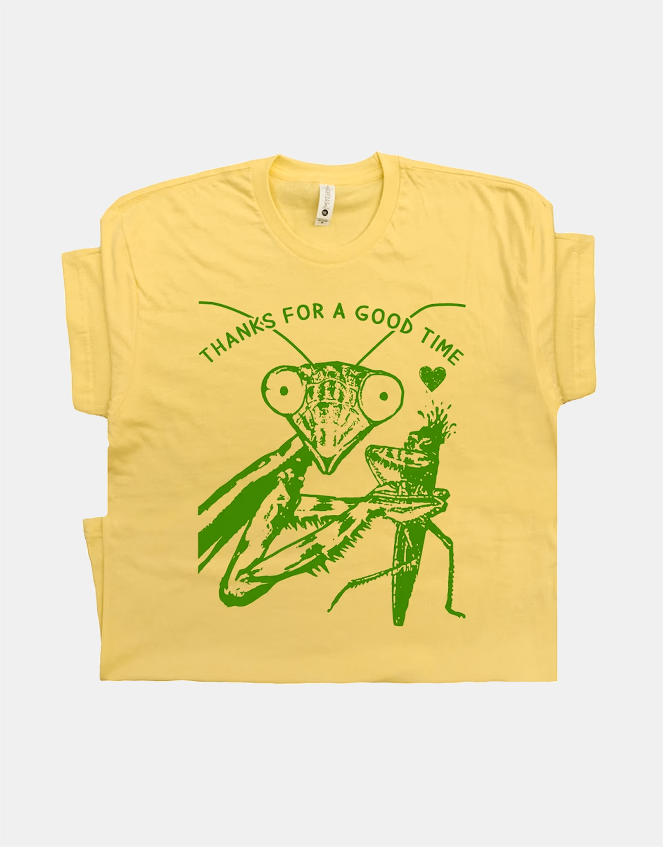 Praying Mantis T Shirt Funny Weird Crazy Shirts / TECHWEAR CLUB / Techwear