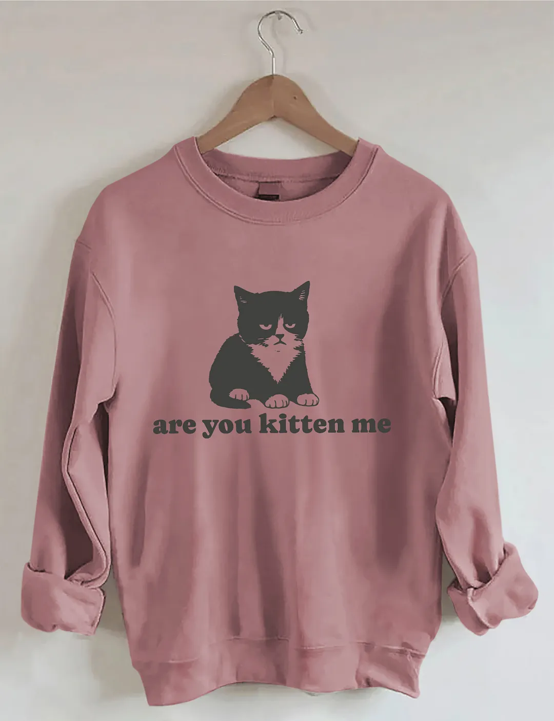 Are You Kitten Me Sweatshirt