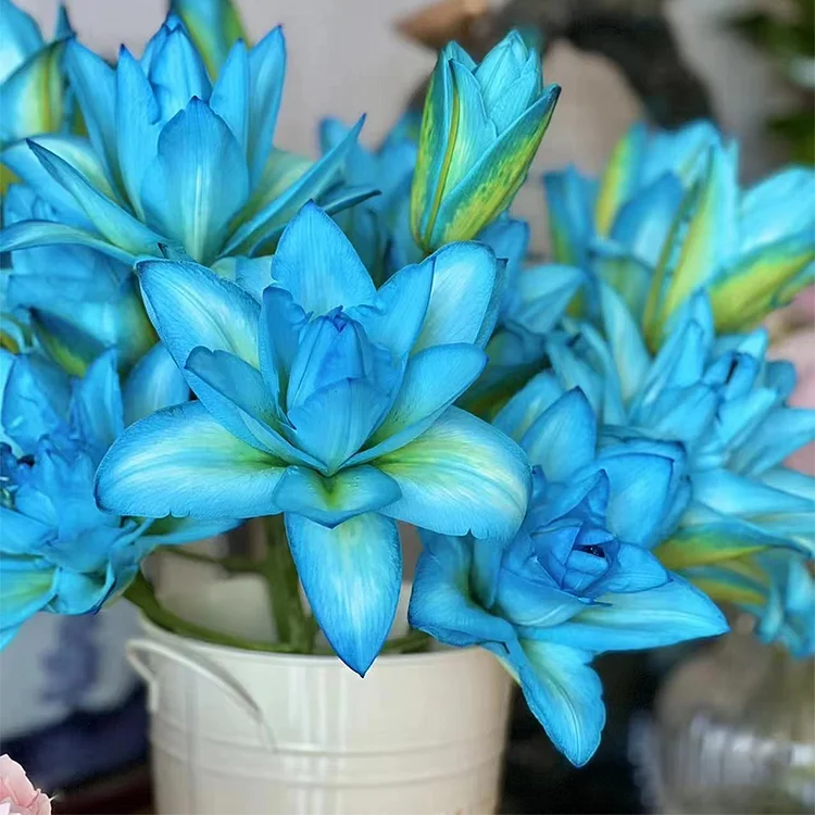 💙[Secret of Love] Rare - Blue Lily 