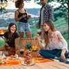 Removable BBQ Rack Replacement Spikes Vertical Meat Chicken Skewer Grill Holder