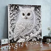 (Pre-Framed)White Owl-Special Shape Diamond Painting Kit(25x25cm)