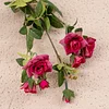Forest Aisle 7 Heads Roses Artificial Stem Flower