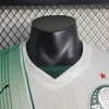 2023/2024 Player Version Palmeiras Away Jersey 1:1 Thai Quality