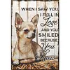 Vintage Chihuahua Poster-11CT Stamped Cross Stitch 40*60cm tapestrymarket