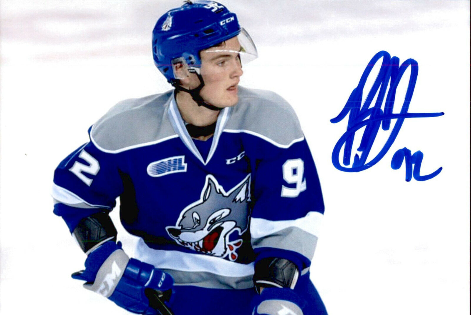 Blake Murray SIGNED 4x6 Photo Poster painting SUDBURY WOLVES /CAROLINA HURRICANES #6