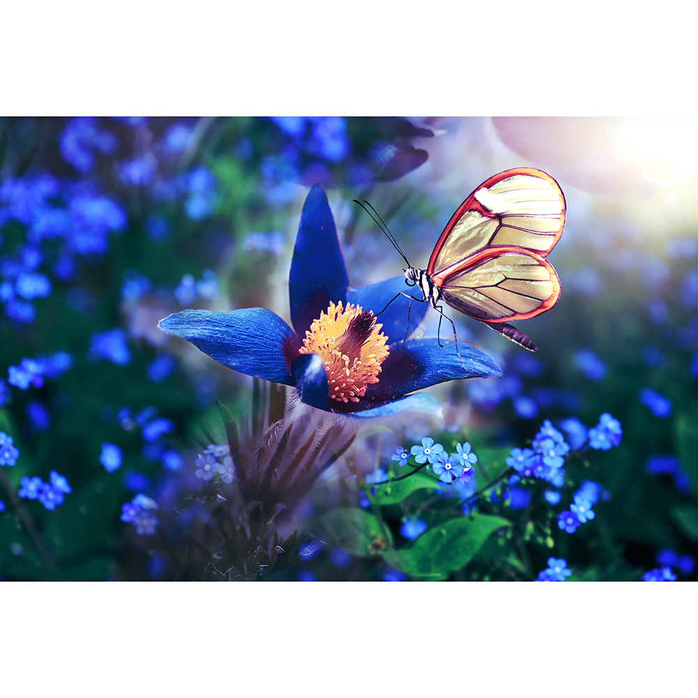 

Pretty Butterfly - 1000 Pieces Jigsaw Puzzle, 501 Original