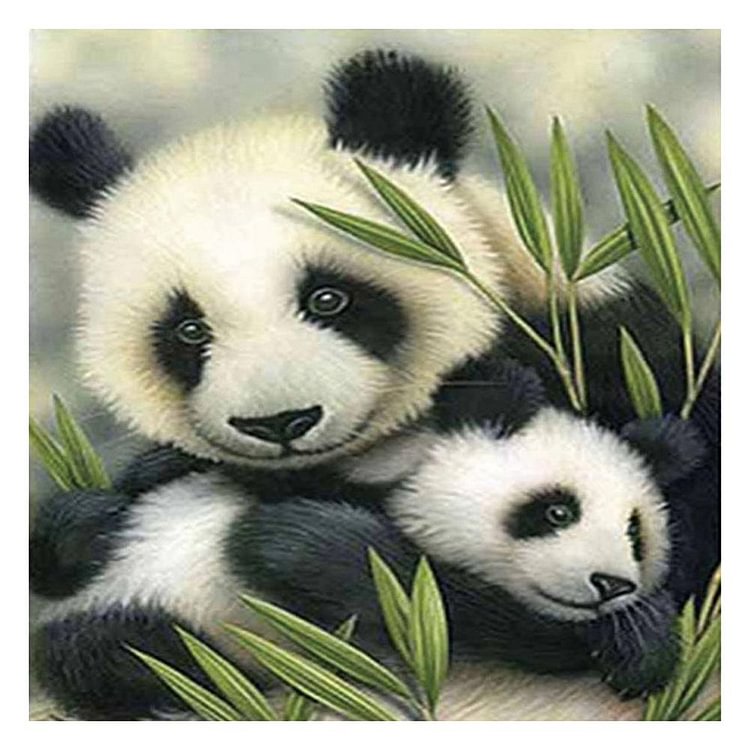 Panda Mignon - Complète Rond / Carré Peinture au Diamant  30x30cm