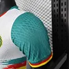 Joyfball 2025 Player Version Cameroon Third Away Football Shirt 1:1 Thai Quality（The player version jersey is a bit tight, please pay attention to the size selection）