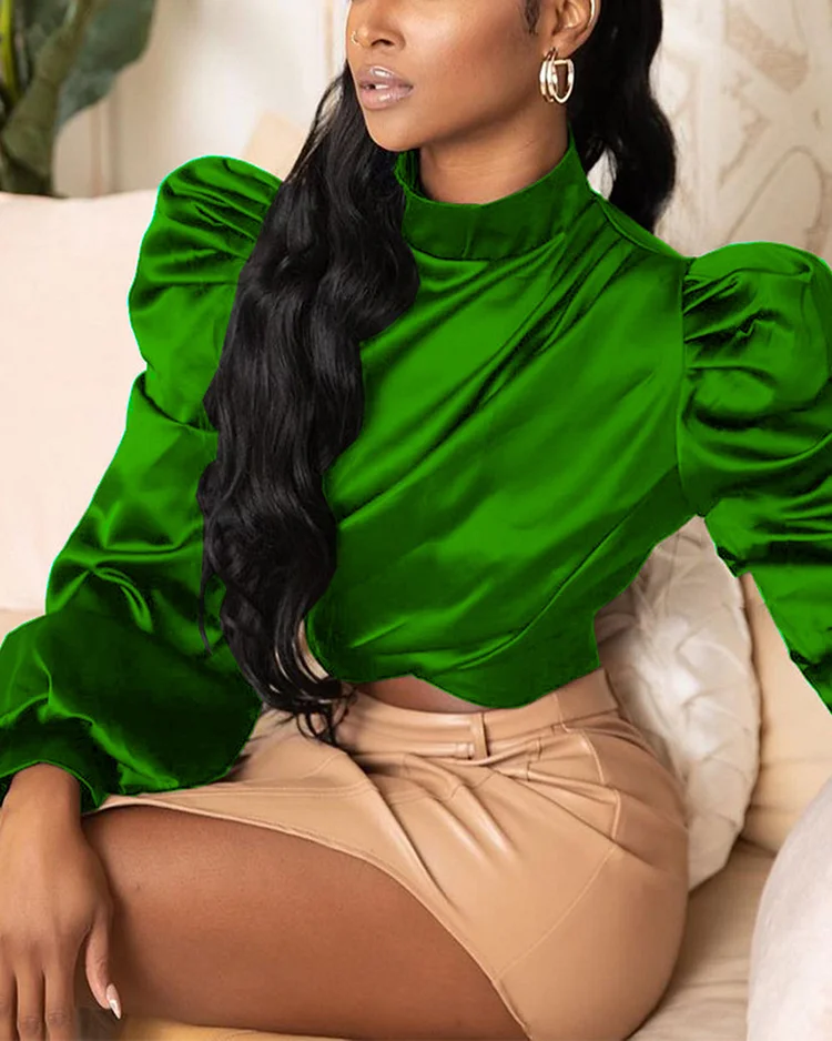 Stand Collar Pullover Puff Sleeve Top