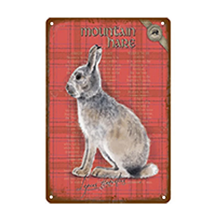 Rabbit Bunny - Vintage Tin Signs/Wooden Signs - 7.9x11.8in & 11.8x15.7in