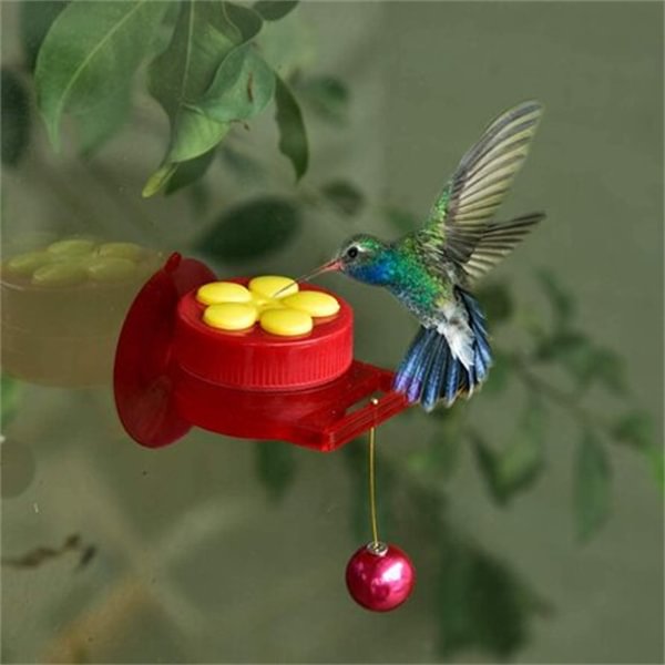Handheld Mini Hummingbird Hand Feeder