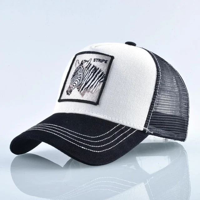 zebra
