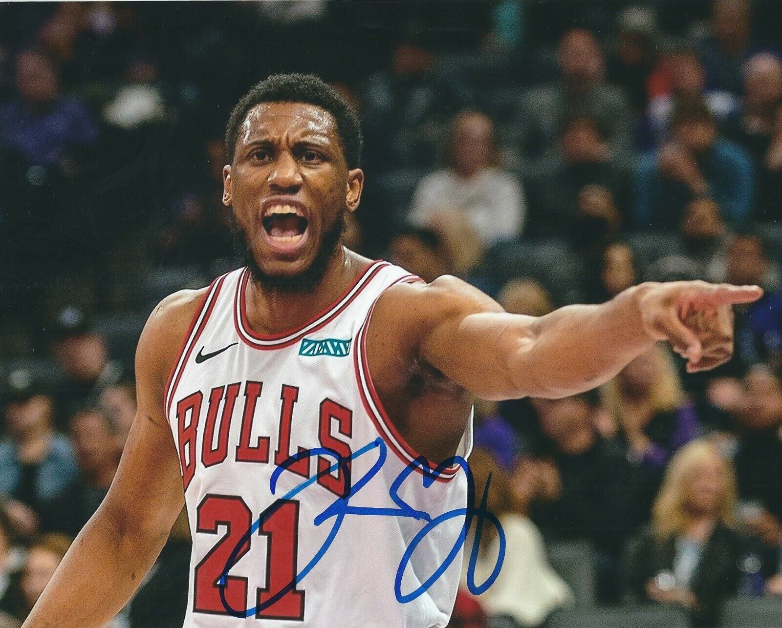 Autographed 8x10 THADDEUS YOUNG Chicago Bulls Photo Poster painting - w/ COA