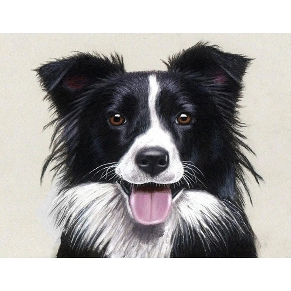 Full Round Diamond Painting - Dog(30*40cm)