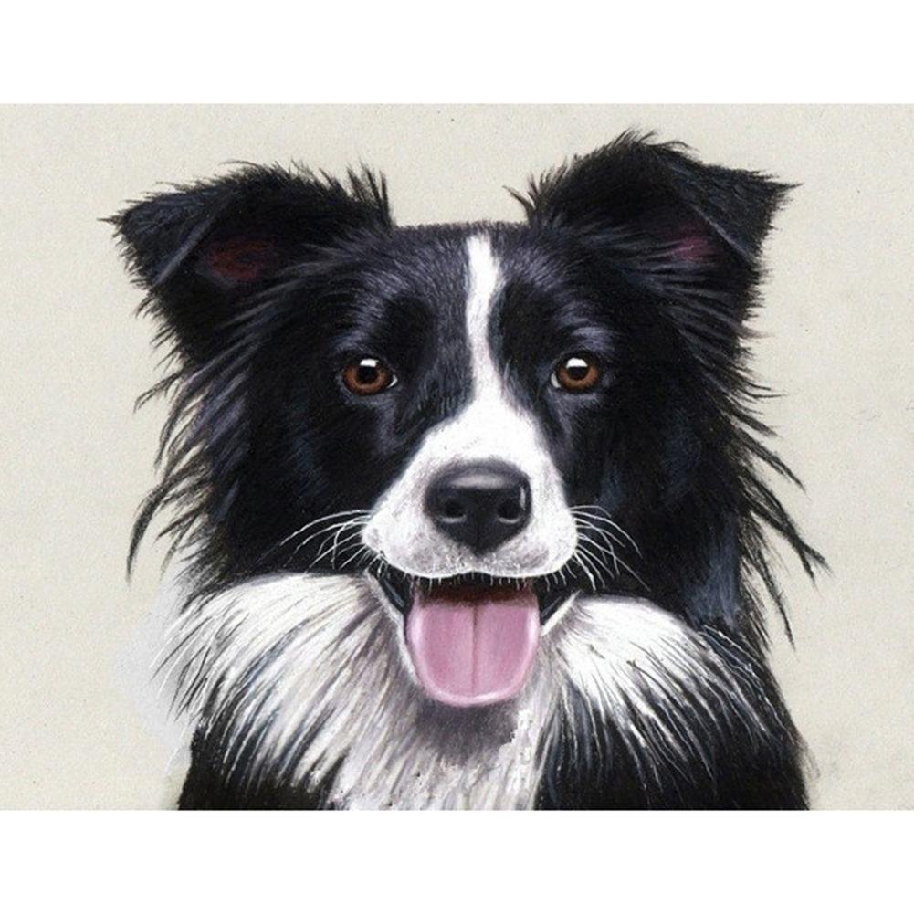 Full Round Diamond Painting Dog (40*30cm)