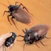 Infrared Remote Control Electric Simulation Induction Cockroach Spider Ant Tricky Animal Toy