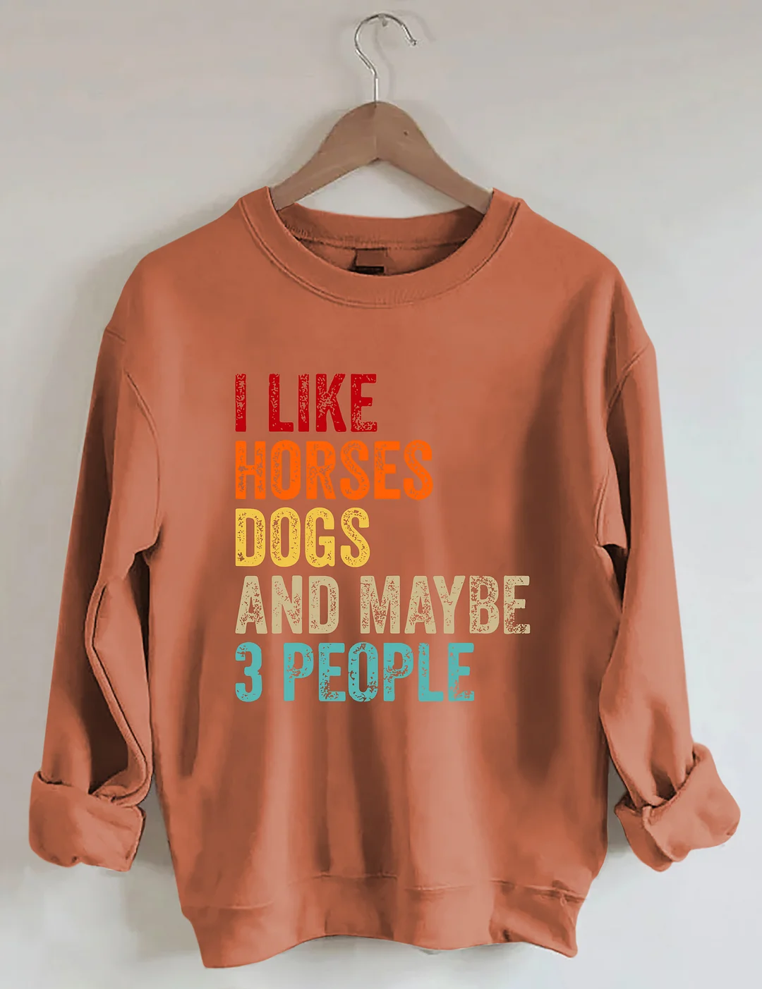 I Like Horses Dogs And Maybe 3 People Sweatshirt