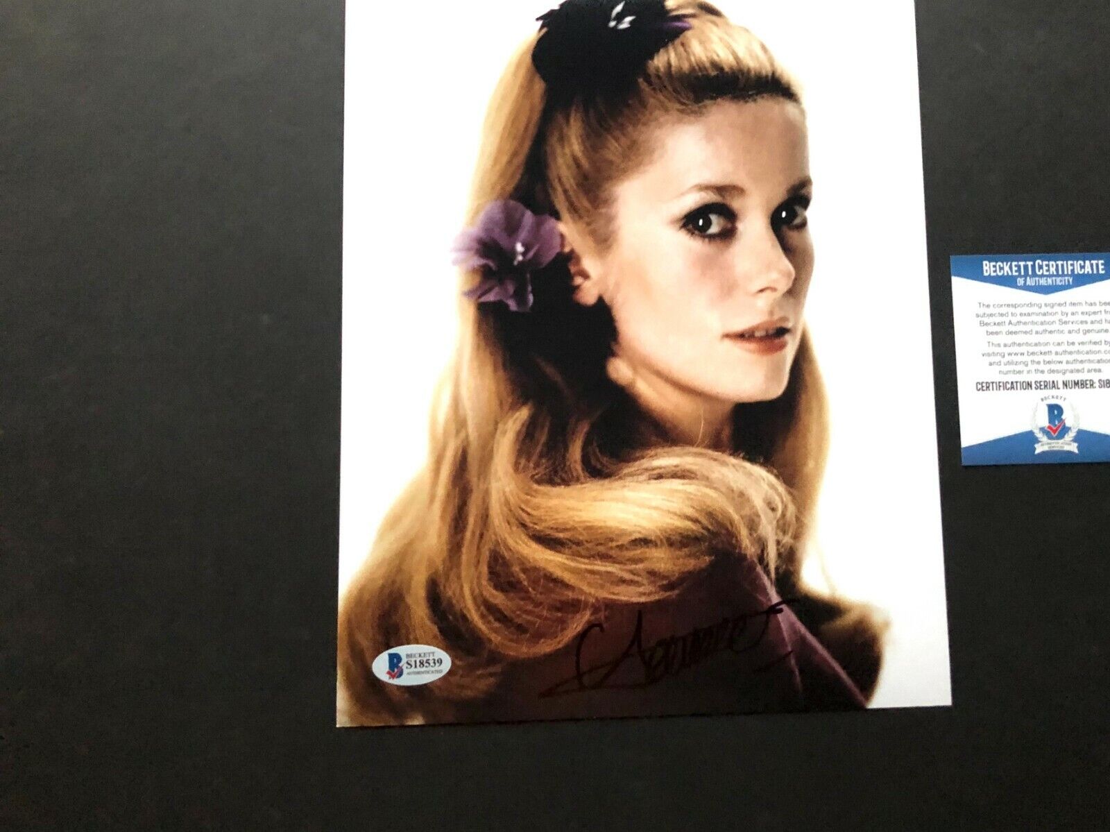 Catherine Deneuve Hot! signed autographed sexy 8x10 Photo Poster painting Beckett BAS coa