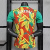 2025/2026 Player Version Senegal National Team Pre-match outfit Football Shirt 1:1 Thai Quality love fball