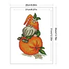 Orange Gnome -  11CT Partial Beaded Cross Stitch Kit(25x35cm)