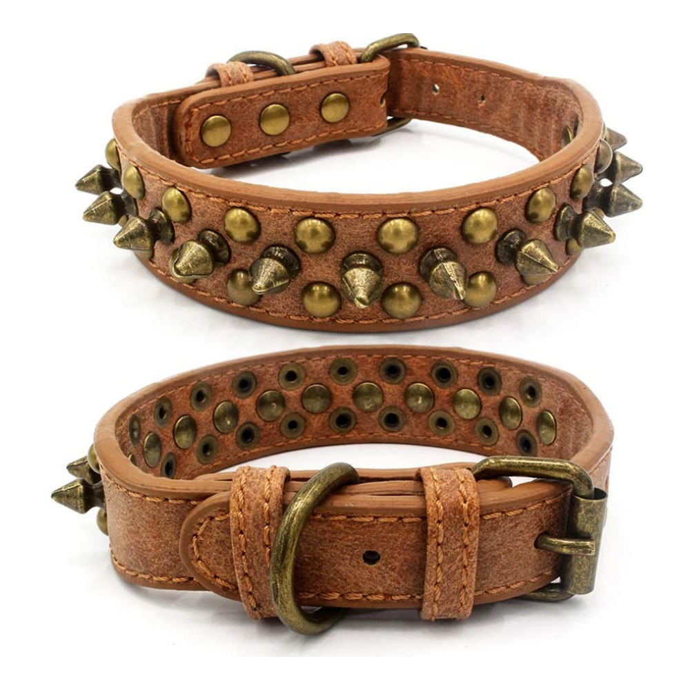 Spike Leather Dog collar (2022)